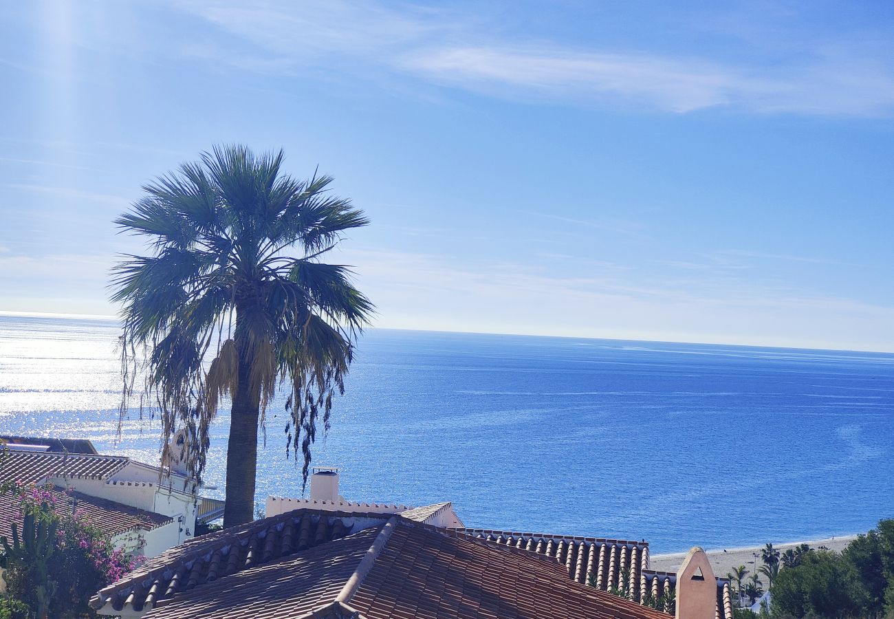 Apartment in Nerja - AP397 - CHIMENEA SEA VIEW