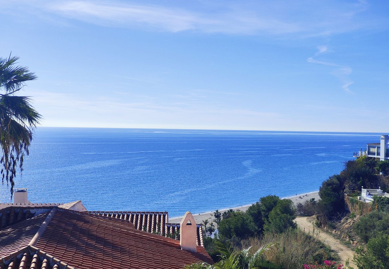 Apartment in Nerja - AP397 - CHIMENEA SEA VIEW